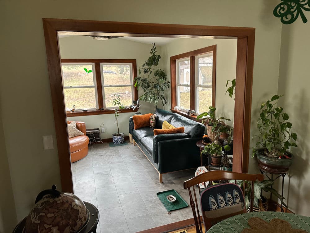 Cozy living room with plants, a green couch, and natural light from large windows.