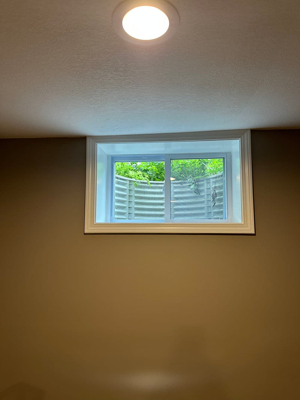 Bright window with greenery view in a modern, neutral-toned room.