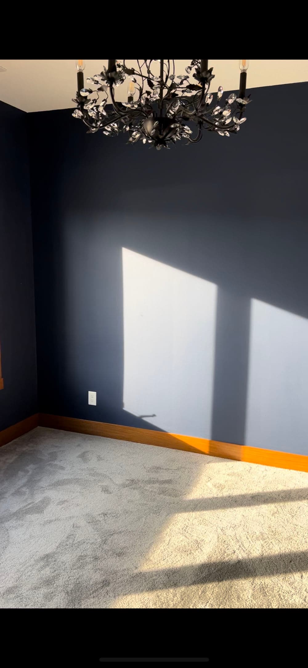 Cozy room with dark blue walls, chandelier, and sunlight casting shadows on carpeted floor.