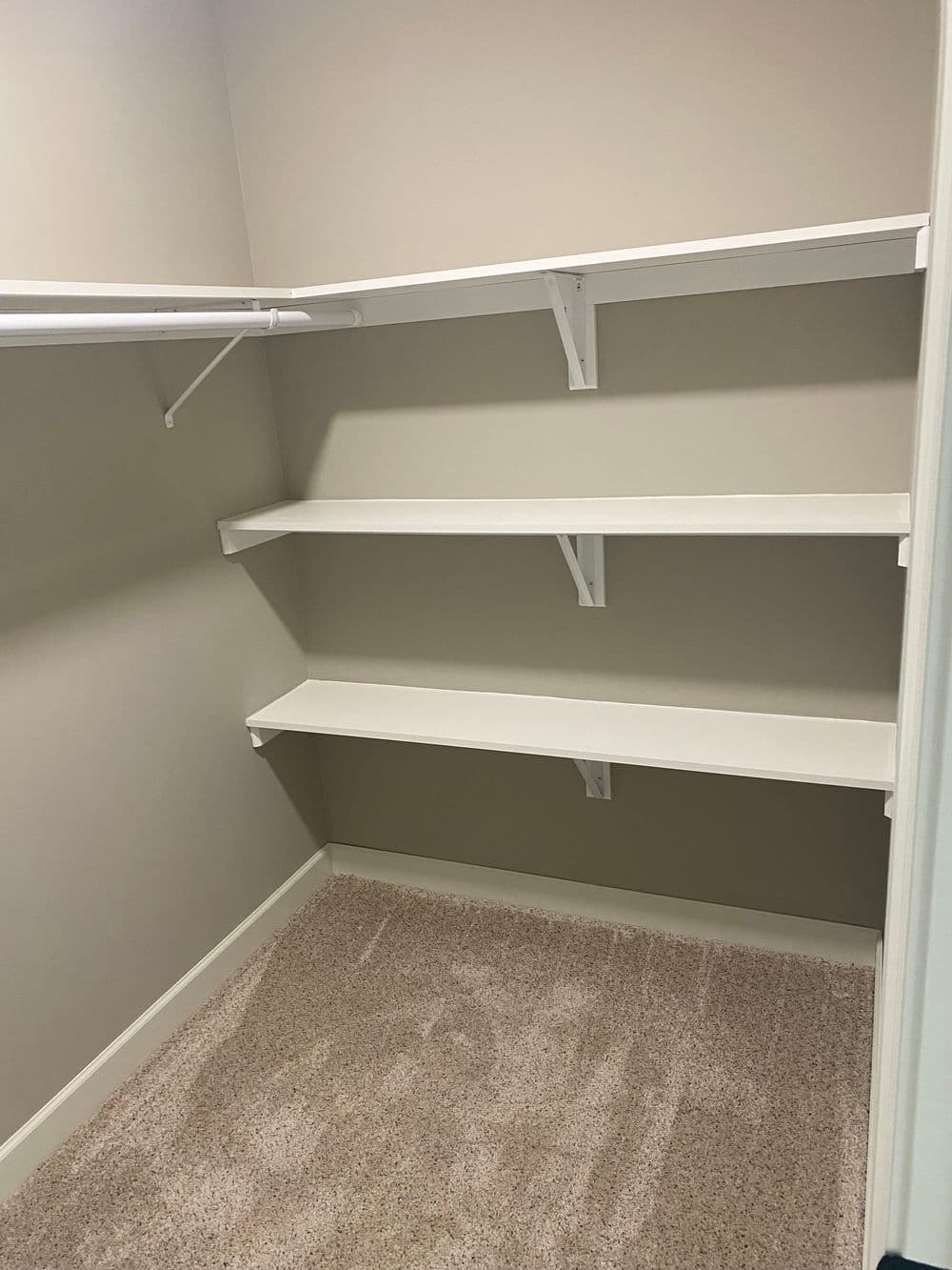 Empty closet with white shelves and carpeted floor, ideal for organization and storage.